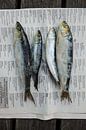 Fresh fish with old news by Studio Stiep thumbnail