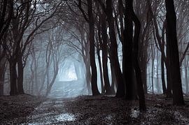 Speulderbos 18 von Deshamer