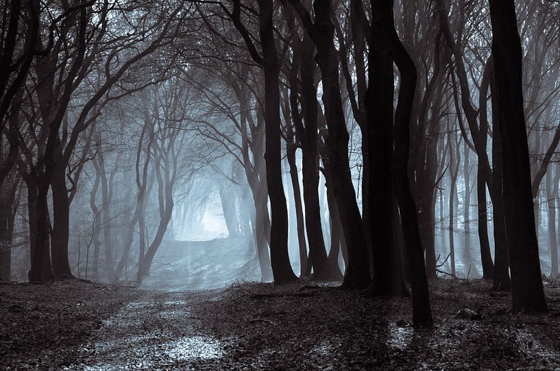 Speulderbos 18 von Deshamer