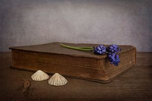 Stilleben mit Buch und blauen Weintrauben