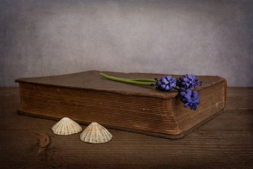 Still life with book and blue grapes by Elly van Veen