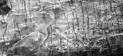 Natuurlijke Abstractie in  Ijsvormen