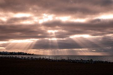 Sunray 1 by Nuance Beeld