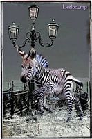 Art Deco kleine zebra in venzia