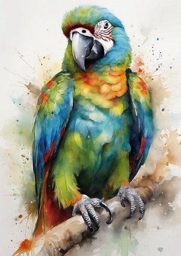 vogel aquarel