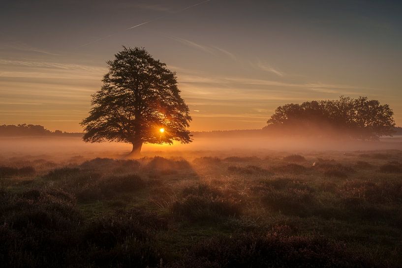 Sunrise Veluwe Netherlands by Arjan Bijleveld