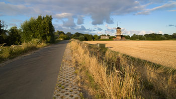 De Korenhalm in 's-Gravenpolder, inmitten der Weizenfelder.
