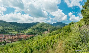 A village in the middle of vineyards, Château du Schlossberg, Kaysersberg, Alsace, France by Rene van der Meer