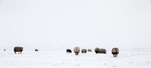 L'hiver en Hollande6