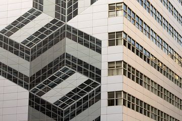 Escher en het stadhuis van Den Haag van Cobi de Jong