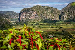Valle de Viñales, Cuba