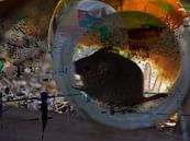 Muis van Richard Brinkman thumbnail