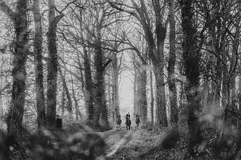 Chasse à la pantoufle dans la forêt - dans un montage intemporel en noir et blanc