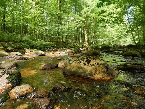 Kalte Bode im Harz