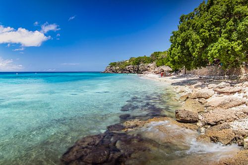Im Laufe des letzten Jahrhunderts haben im Bereich des Strandes von Curacao eine Reihe von neuen Ent
