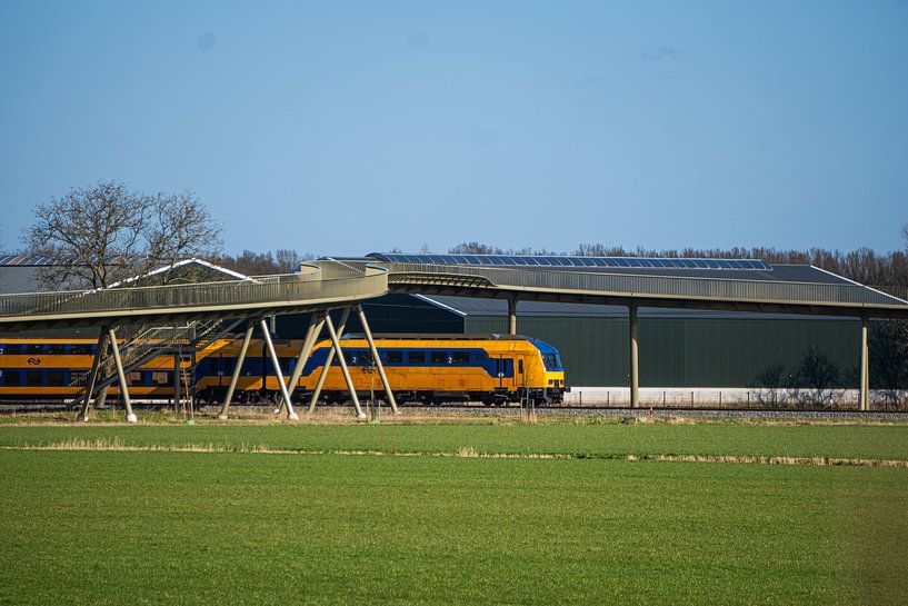 NS Intercity fährt unter einer Fußgängerbrücke von Pim Coenraads