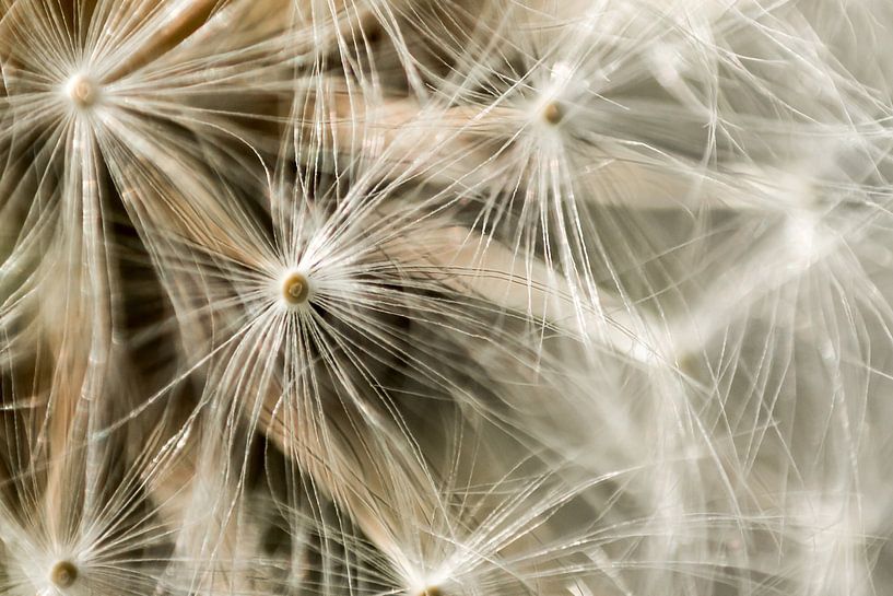 Airy by Severin Frank Fotografie