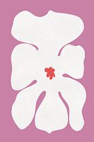 Fleur d'orchidée blanche