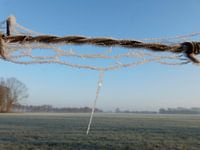 Winterlandschap met rijp