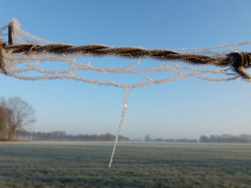 Winter landscape with hoar frost by Joke te Grotenhuis