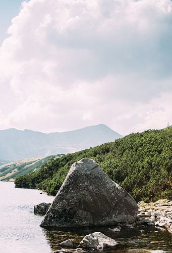 Stone in the Water