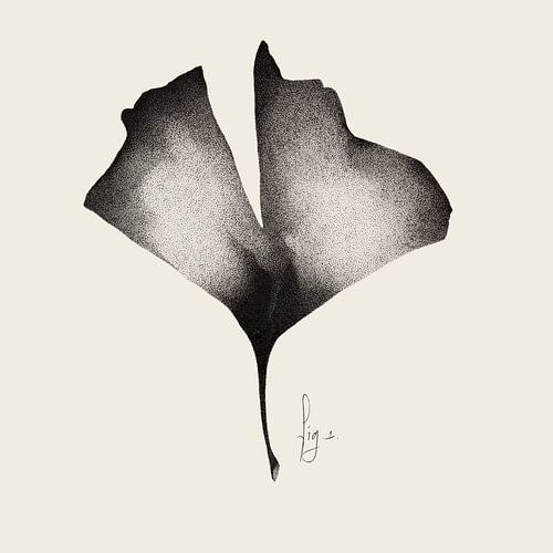 Feuille de ginkgo, sur un fond neutre et subtil