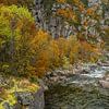 Herbstliche Farben an einem Fluss in Norwegen von Mickéle Godderis