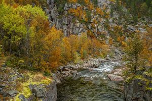 Herfst kleuren bij een rivier in Noorwegen van Mickéle Godderis