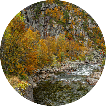 Herfst kleuren bij een rivier in Noorwegen van Mickéle Godderis