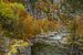 Herbstliche Farben an einem Fluss in Norwegen von Mickéle Godderis