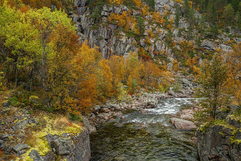 Herbstliche Farben an einem Fluss in Norwegen von Mickéle Godderis