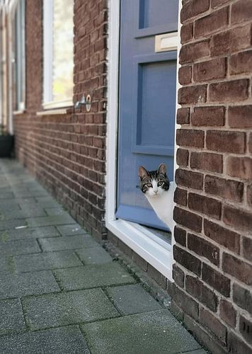 Lief beestje kwam ik onderweg tegen