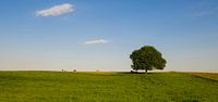 Panorama in het Limburgse Heuvelland van Photography by Karim thumbnail