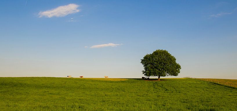 Panorama in den Limburger Hügeln von Photography by Karim