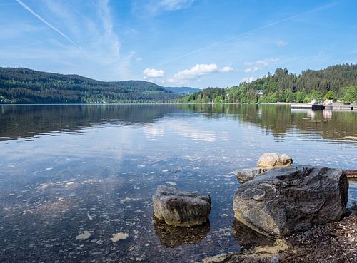 Uitzicht op de Titisee in het Zwarte Woud