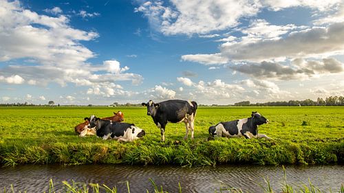 Niederländische Herrlichkeit