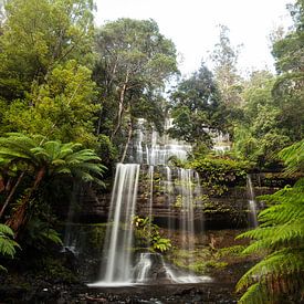 Russell Falls in Tasmanië - Mount Field National Park van Jiri Viehmann