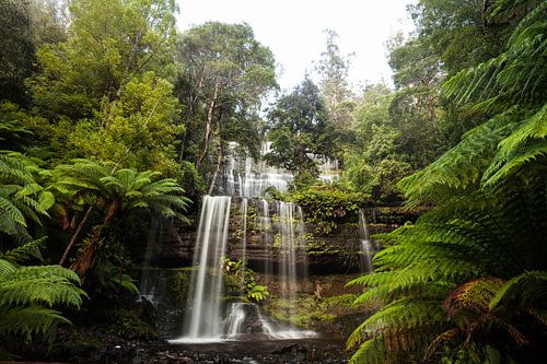 Russell Falls in Tasmanië - Mount Field National Park