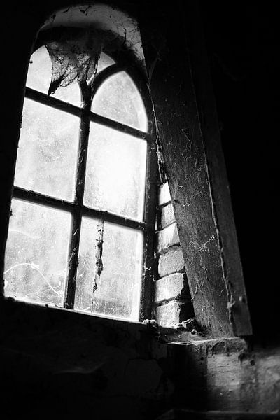 Old window full of cobwebs | Netherlands | Street photography by Diana van Neck Photography