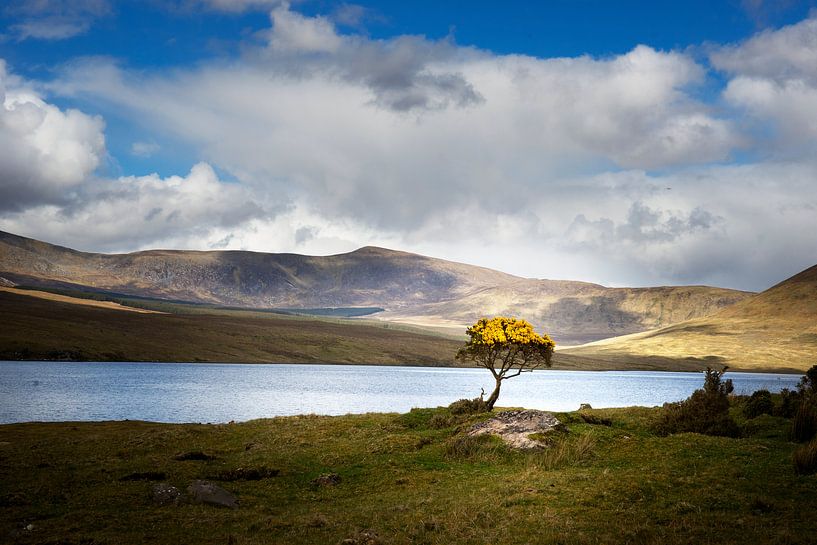 Lough Feeagh by Bo Scheeringa Photography
