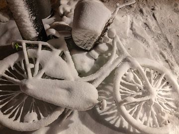 Vergeten fiets in de sneeuw van Tobias Toennesmann