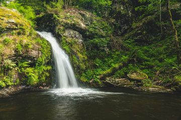 Prägbach Wasserfall, Schwarzwald van Tim van der Kraats