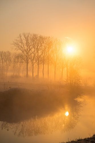Aan de Dender smorgens vroeg