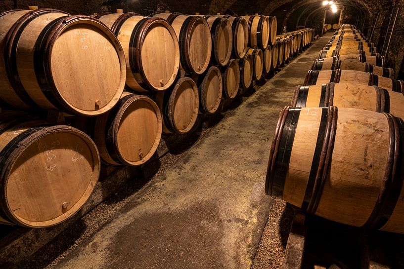 Tonneaux de vin dans la cave par Daan Kloeg