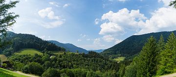 Duitsland, XXL panorama landschappelijk uitzicht in zwart bos natuurreservaat van adventure-photos