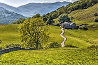 Vista in the Lake District by Frans Blok - photos, art and other wall decoration thumbnail