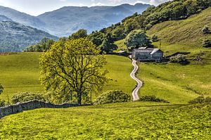 Aussicht im Lake District