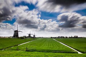 Frühling in den Niederlanden