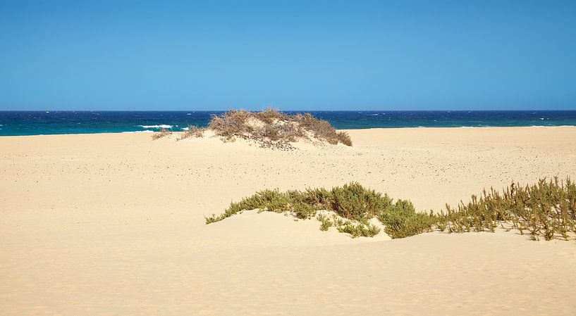 Strand von Bo Valentino