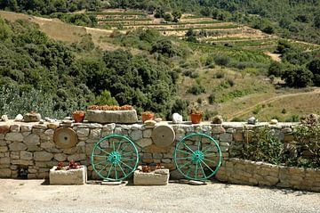 Landschap met wielen in de Provence van Cees Laarman
